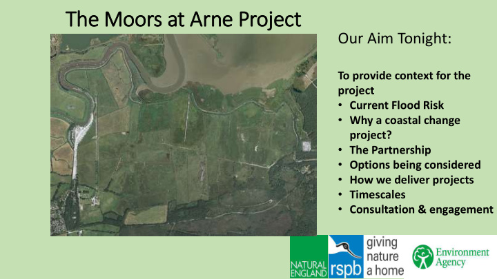 the moors at arne project