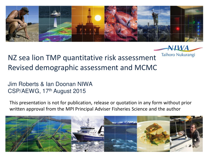 nz sea lion tmp quantitative risk assessment