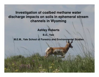 Investigation of coalbed methane water  g  discharge impacts on soils in ephemeral stream  channels