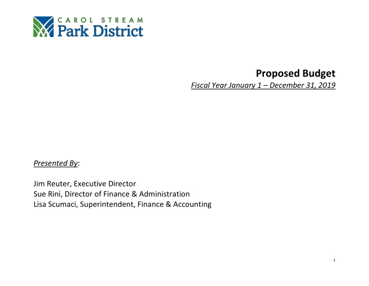 proposed budget fiscal year january 1 december 31 2019