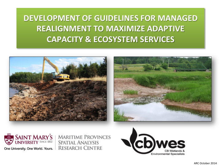 development of guidelines for managed realignment to