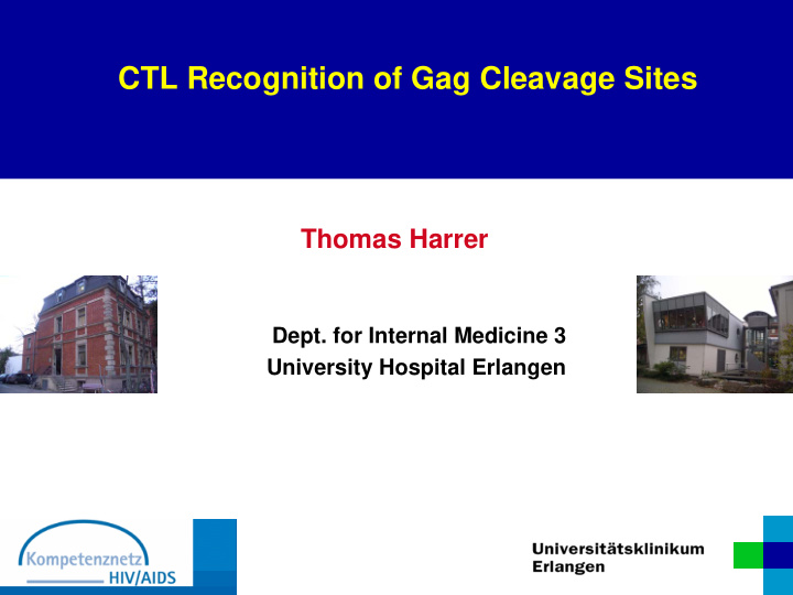 ctl recognition of gag cleavage sites