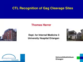CTL Recognition of Gag Cleavage Sites  Thomas Harrer  Dept. for Internal Medicine 3  University