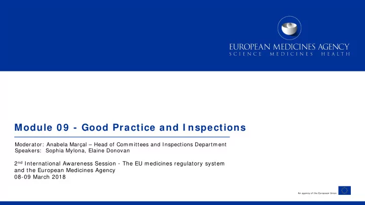 module 0 9 good practice and i nspections