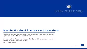 Module 0 9  - Good Practice and I nspections  Moderator:  Anabela Maral  Head of Committees