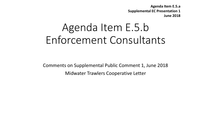 agenda item e 5 b enforcement consultants