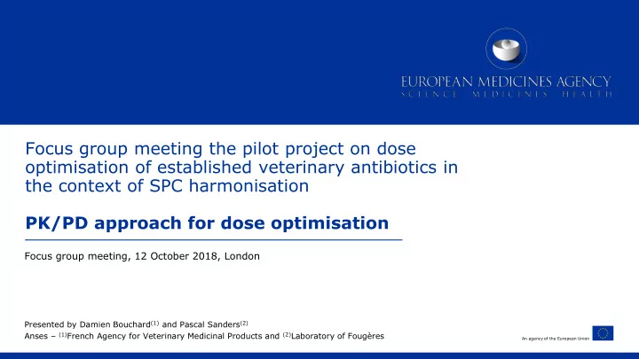focus group meeting the pilot project on dose