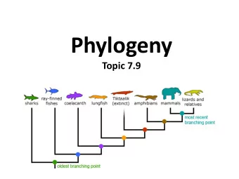 Phylogeny  Topic 7.9  Phylogeny  Phylogeny is the evolutionary history of a  species or a group