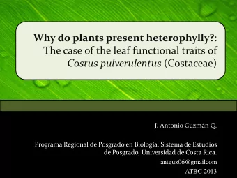 Costus pulverulentus (Costaceae)  J. Antonio Guzmn Q.  Programa Regional de Posgrado en