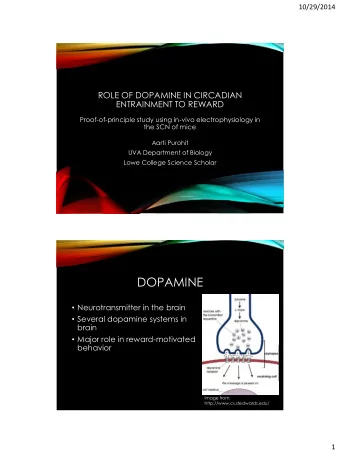 DOPAMINE  Neurotransmitter in the brain  Several dopamine systems in  brain  Major role in