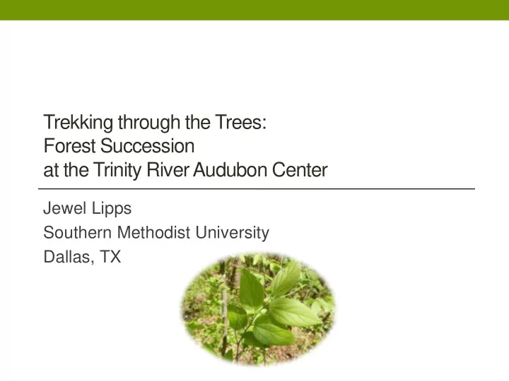 trekking through the trees forest succession at the