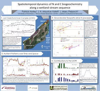 Spatiotemporal dynamics of N and C biogeochemistry  along a wetland-stream sequence Patrick Hurley