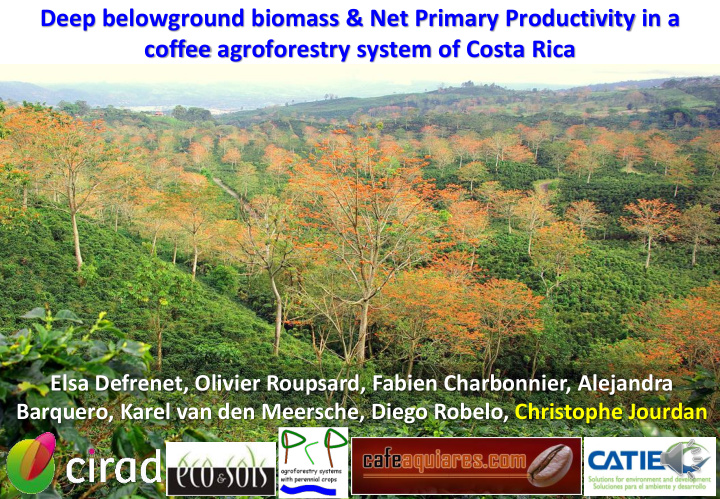 deep belowground biomass net primary productivity in a