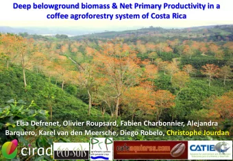 Deep belowground biomass &amp; Net Primary Productivity in a  coffee agroforestry system of Costa