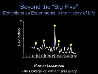 Beyond the Big Five  Extinctions as Experiments in the History of Life  Rowan Lockwood  The