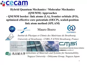 Mauro Boero  Institut de Physique et Chimie des Matriaux de Strasbourg  University of Strasbourg