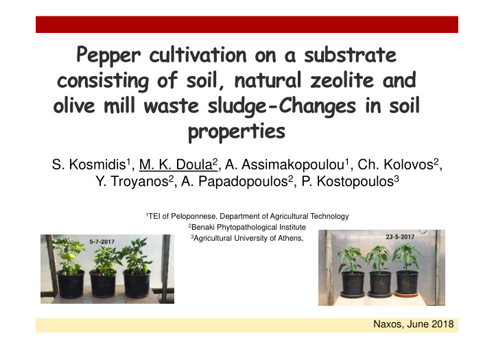 pepper cultivation on a substrate consisting of soil