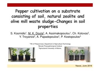 Pepper cultivation on a substrate  consisting of soil, natural zeolite and  olive mill waste