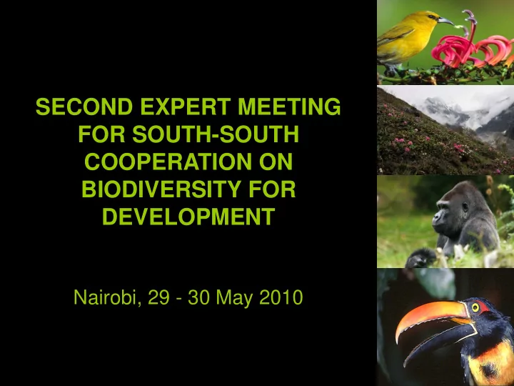 second expert meeting for south south cooperation on