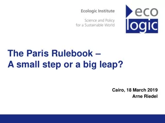 A small step or a big leap?  Cairo, 18 March 2019  Arne Riedel  Ecologic Institute  ecologic.eu