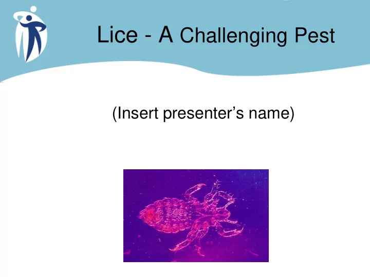 public health and head lice in winnipeg