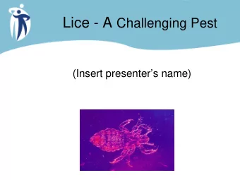 Public Health and Head  Lice in Winnipeg   Standardize practice   Develop research- based