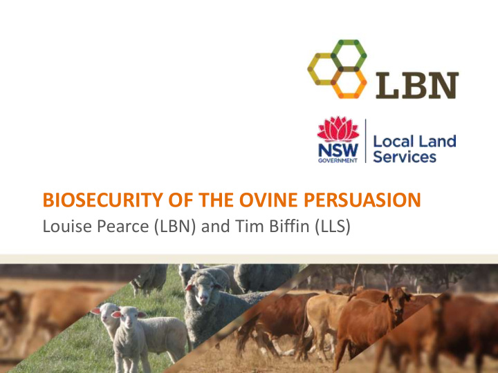 biosecurity of the ovine persuasion