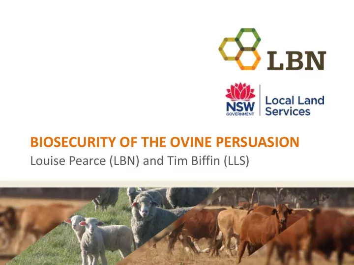 biosecurity of the ovine persuasion