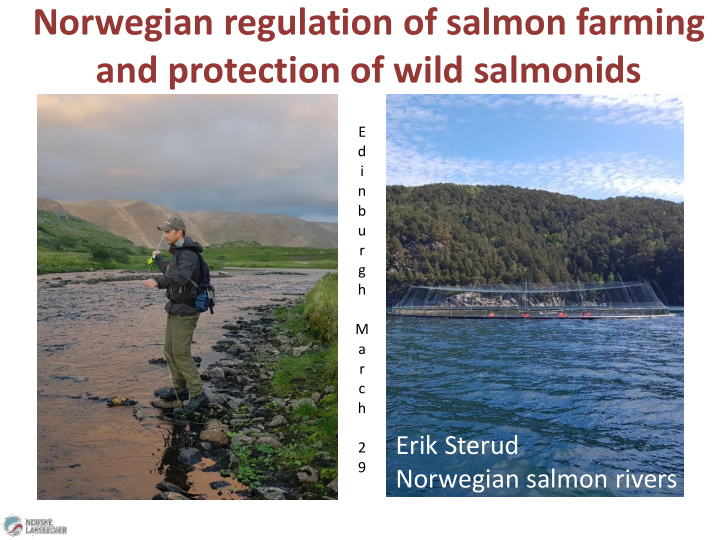 norwegian regulation of salmon farming