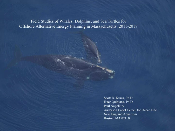 field studies of whales dolphins and sea turtles for