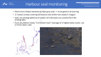 harbour seal monitoring