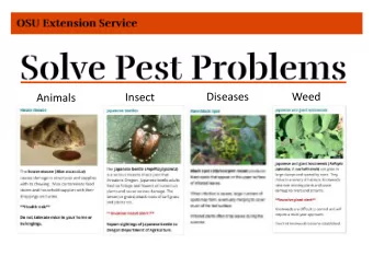 Animals  s  s  Audience question:  Who has experienced a pest  problem at home in the last year?