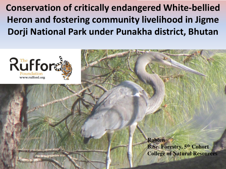 conservation of critically endangered white bellied heron