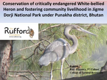 Conservation of critically endangered White-bellied  Heron and fostering community livelihood in