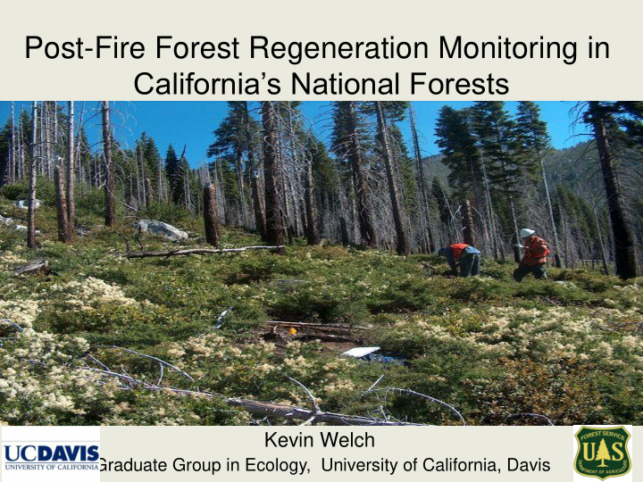 post fire forest regeneration in
