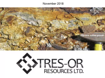 November 2018  Fontana sulfide gossan FORWARD LOOKING STATEMENTS  Certain information contained in