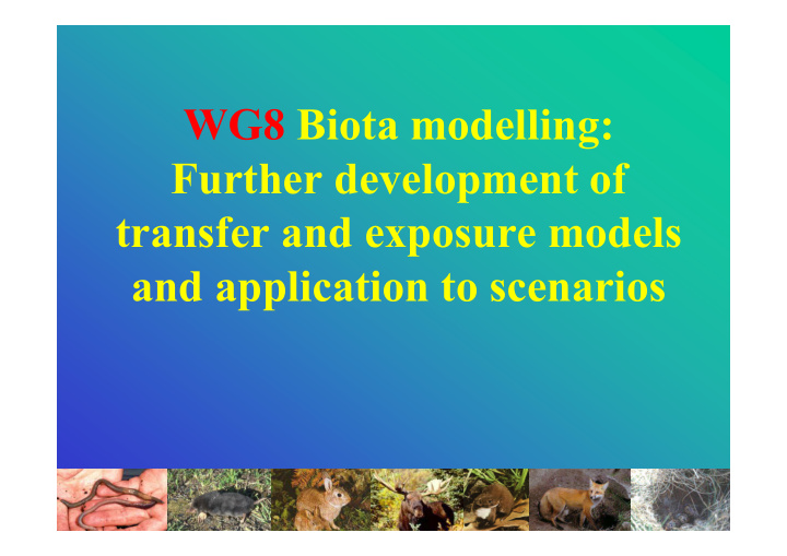 wg8 biota modelling further development of transfer and
