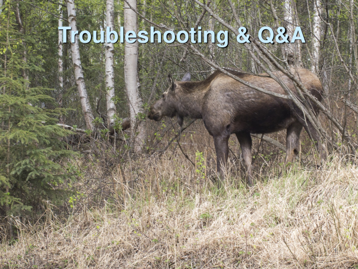 troubleshooting q a