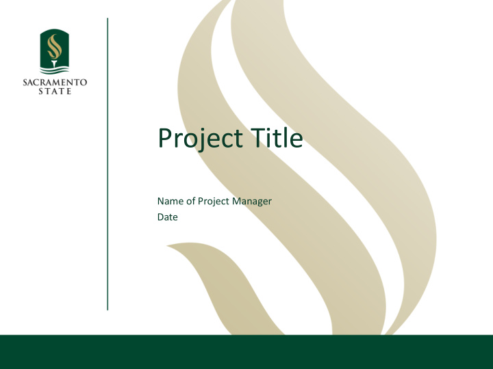 project title