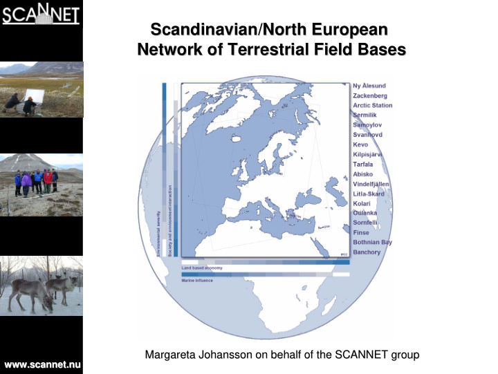 scandinavian north european scandinavian north european