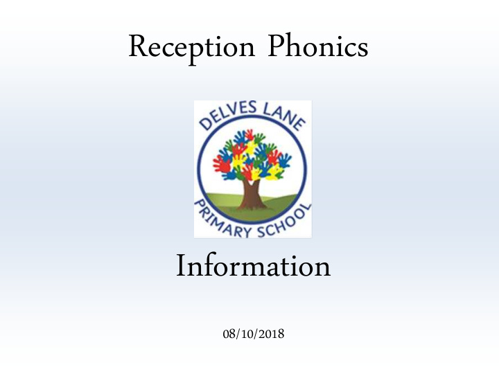 reception phonics information