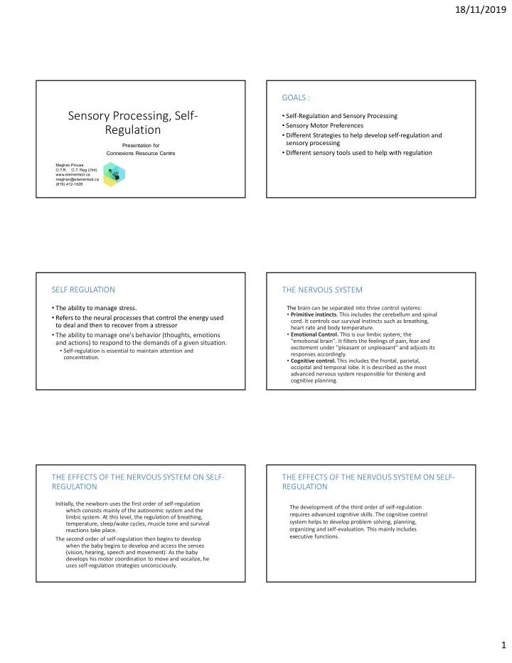sensory processing self