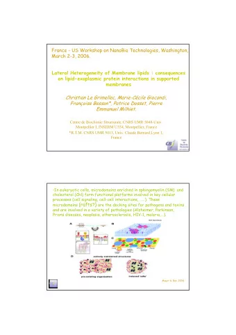France - US Workshop on NanoBio Technologies, Washington,  March 2-3, 2006. Lateral Heterogeneity