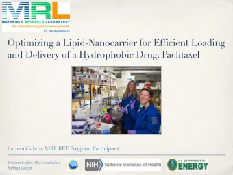 Optimizing a Lipid-Nanocarrier for Efficient Loading  and Delivery of a Hydrophobic Drug: