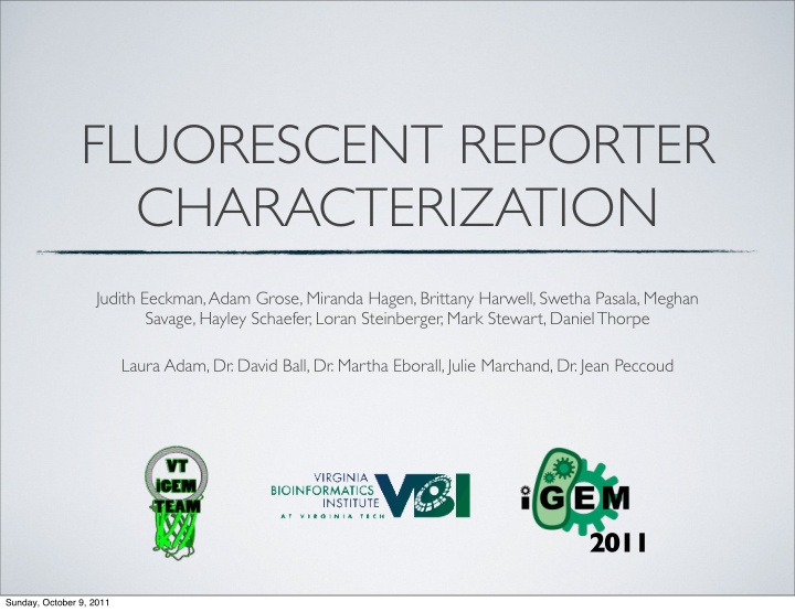 fluorescent reporter characterization