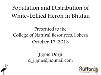 Jigme Dorji d_jigme@hotmail.com   mm PROJECT TITLE : TH E PROTfCTJOft Of WHITE-BELLIED HEROn