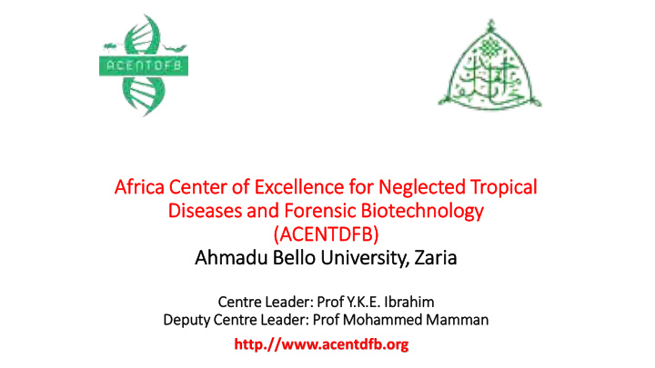 afric africa cen center r of of ex excellence for or neg