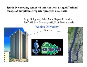 Yeshiva University  Our lab  Media  2  3  Cytoplasm  1  Periplasm  1  2  3  The Set-up:  periplasm