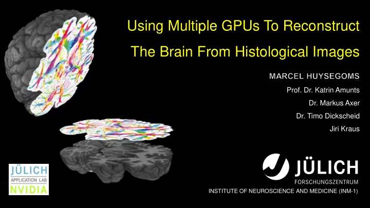 the brain from histological images