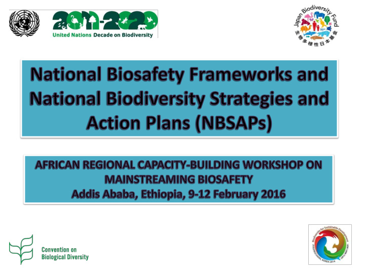 national biodiversity strategies and action plans nbsaps